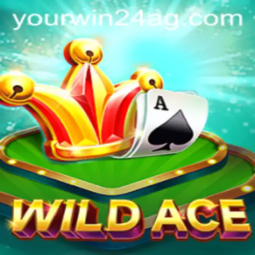 Exploring the World of WildAce: An Innovative Gaming Experience
